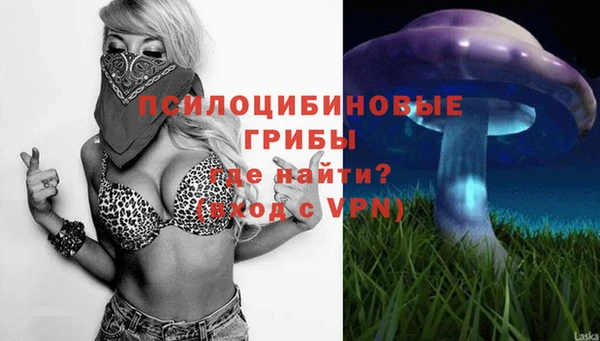 меф Богородицк