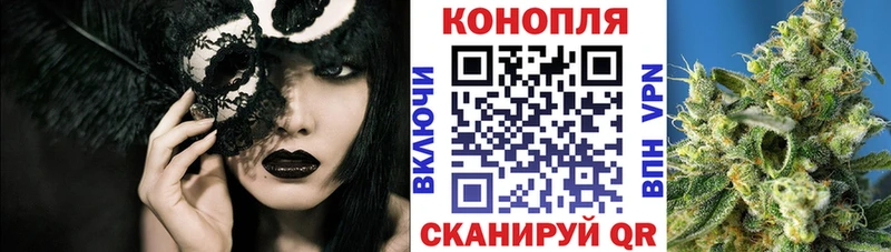 Бошки марихуана OG Kush Владивосток
